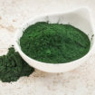 Spiruline : une algue extraordinaire !