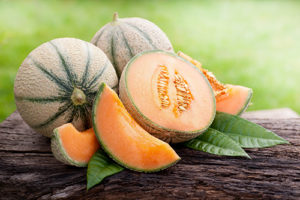 La SOD de Melon : un antioxydant de première ligne.