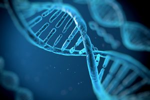 Les nucléotides : actifs révolutionnaires !