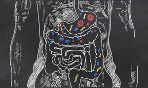 Ces bactéries bénéfiques à notre flore intestinale