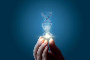 adn-dna