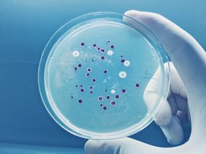 Les bactéries résistantes aux antibiotiques causent 33 000 décès par an en Europe