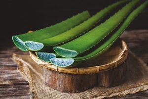 Aloe-vera