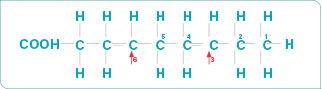 Nomenclature et classification