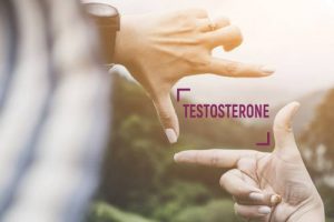 Testosterone