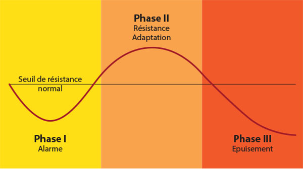 Les 3 phases du syndrome général d'adaptation au stress