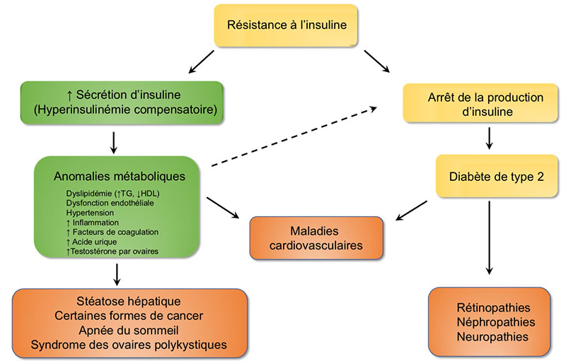 maladies et SOPK