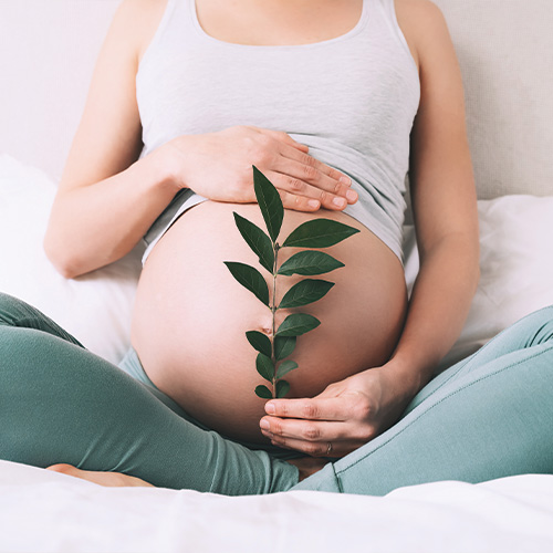 Fertilité et grossesse, se préparer sereinement - Bio Infos Santé