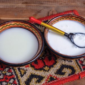 bol de lait de jument plein de bons nutriments pour la santé