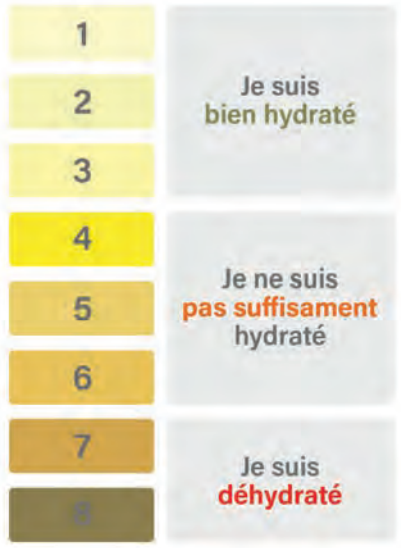 Barème hydratation schema