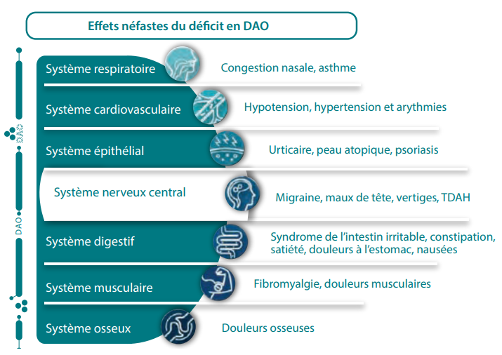 Effets néfastes du déficit en DAO