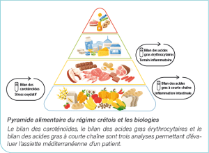 Pyramide alimentaire du régime crétois et les biologies