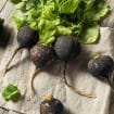 Organic,Raw,Black,Radishes,In,A,Bunch