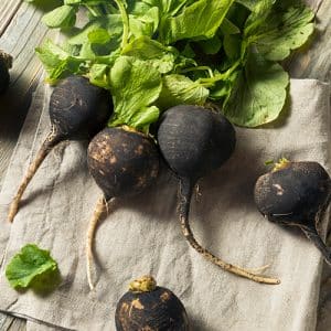 Organic,Raw,Black,Radishes,In,A,Bunch